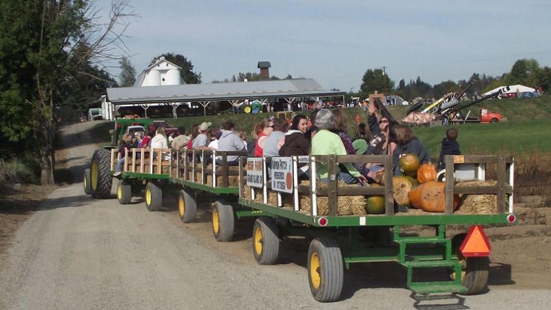 Pumpkin Patch Near Grand Island Nebraska