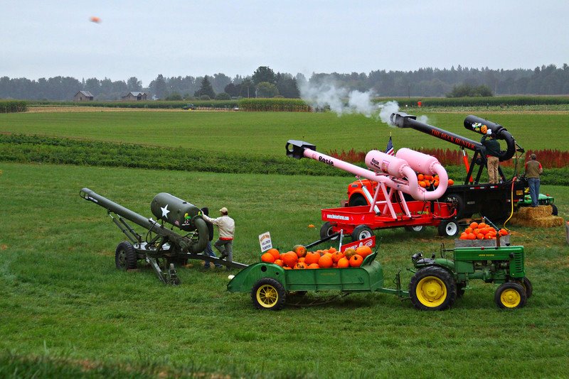 Heiser Farms, Pumpkin Patch