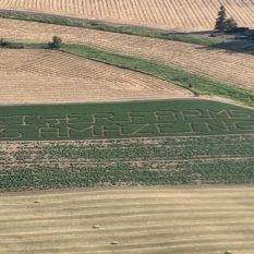 2022 Corn Maze