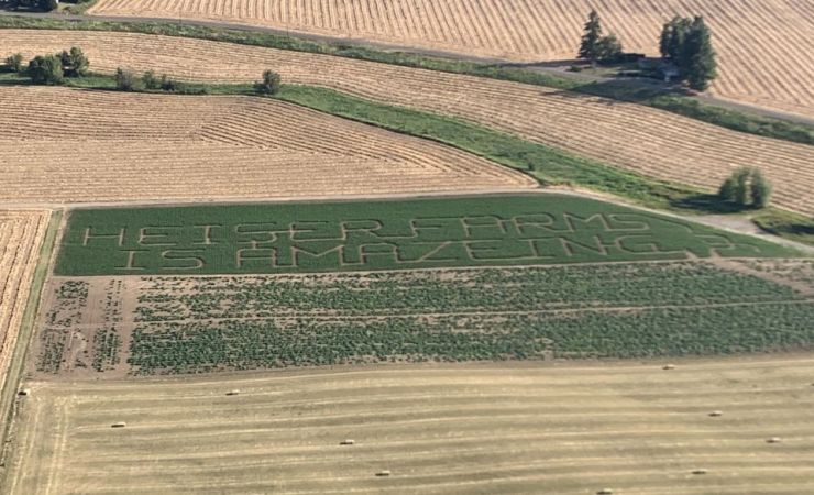 2022 Corn Maze