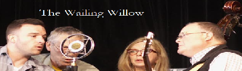 TheWailingWillow